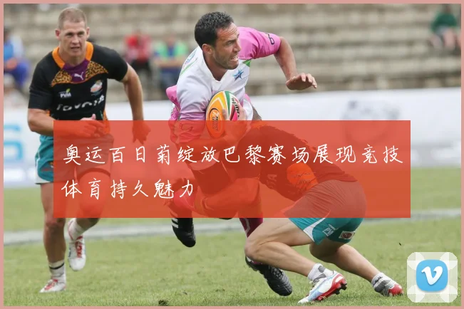 奥运百日菊绽放巴黎赛场展现竞技体育持久魅力